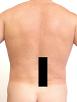 Pain pattern for Lower Back Pain Due to Tension in the Erector Muscles