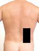 Pain pattern for Lower Back Pain Due to Tension in the QL Muscle