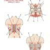 Set 2. Protocol of Connective Tissue Massage - Image 3