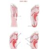 Set 2. Protocol of Connective Tissue Massage - Image 13