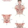 Set 2. Protocol of Connective Tissue Massage - Image 6
