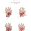 Set 2. Protocol of Connective Tissue Massage - Image 8