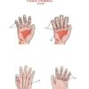 Set 2. Protocol of Connective Tissue Massage - Image 9