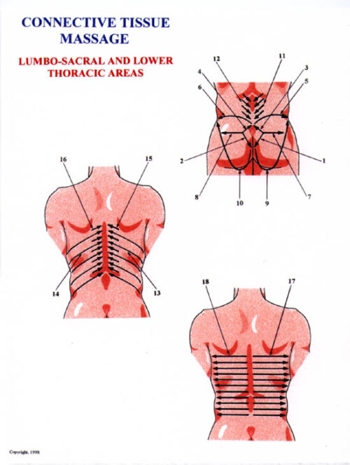 Set 2. Protocol of Connective Tissue Massage