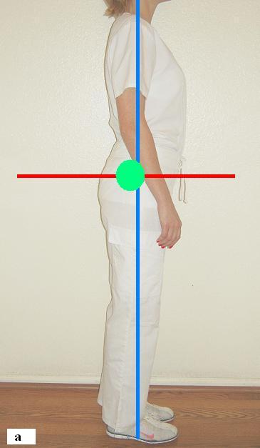 Fig.2a