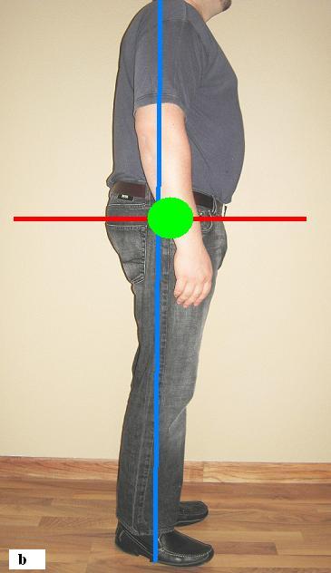 Fig.2b