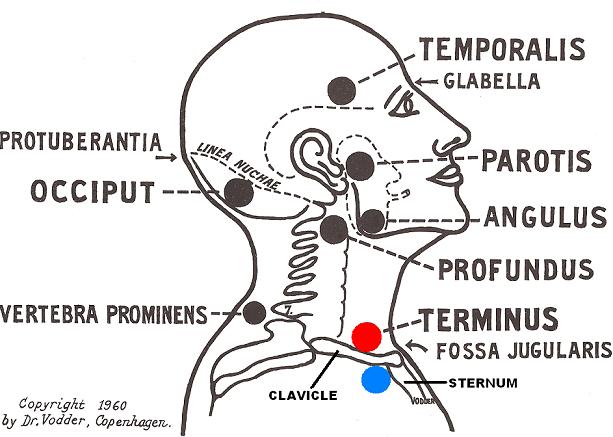 Fig.1. LDM on the neck and face (Vodder, 1960)