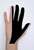 Pain pattern for Median Nerve Neuralgia Carpal Tunnel Syndrome Anterior Scalene Muscle Syndrome Pectoralis Minor Muscle Syndrome Pronator Teres Muscle Syndrome